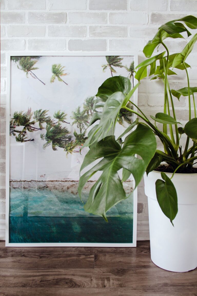 The Collection Making Interior Design FUN